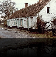 Kempenhoeveke Kievitheide